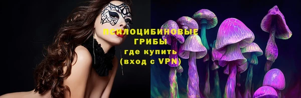 прущие крисы Саяногорск
